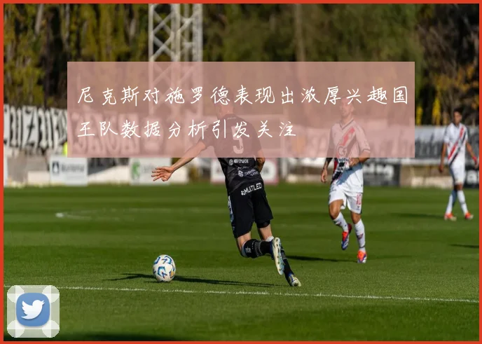 尼克斯对施罗德表现出浓厚兴趣国王队数据分析引发关注